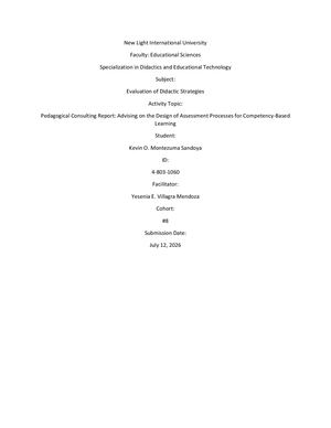 Pedagogical Consulting Report