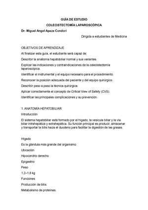 Guía De Estudio