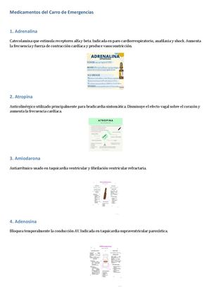 Documento Medicamentos Carro Emergencias Ampliado Docx 20260713 093449 0000