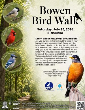 Bowen Bird Walk
