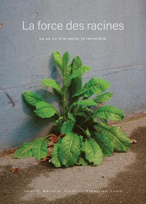 La Force Des Racines Calameo