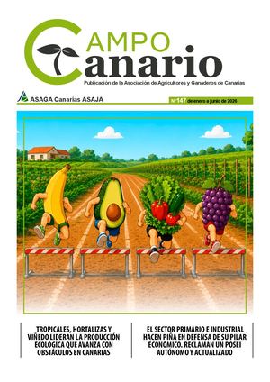 Campo Canario 147 V 4 (1)