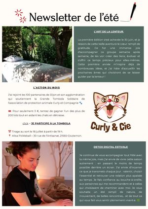 Newsletter De L’été