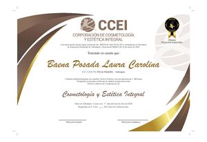 Diplomas Proyectos Especiales Julio 2026