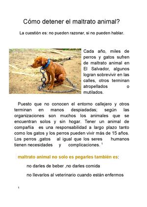 “Huellas De Esperanza”