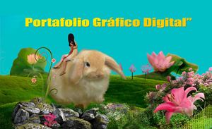 PORTAFOLIO GRÁFICO FINAL