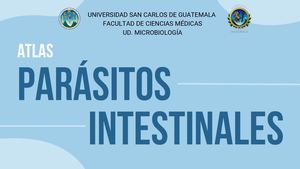 Atlas, Parásitos Intestinales