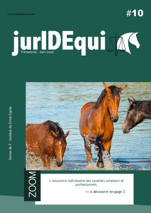 Extrait Revue Jur Idequi #10 Juin 2026