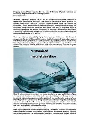 Customized Magnetism Shoe