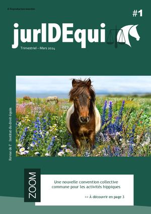 Revue Jur Idequi Numéro 1 Mars 2024