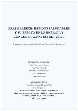 Proyecto Final Completo 25 Paginas