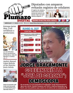 Plumazo Digital 781