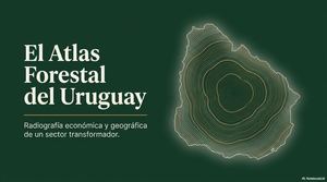 Uruguay Forest Atlas