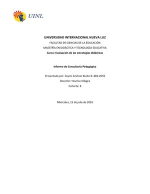 Informe Consultoria Pedagogica Es