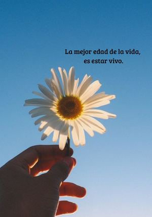 Etapas De La Vida