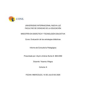 Pedagogical Consulting Report En