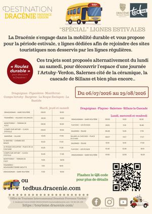 Zoom Lignes Estivales