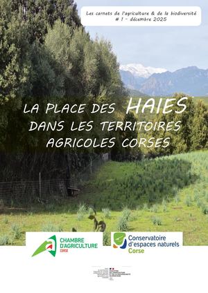 Place Des Haies Territoires Corses