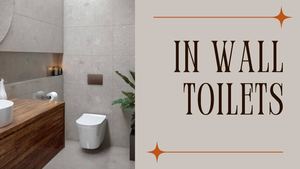 In Wall Toilet