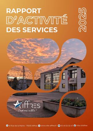 Rapport D’activité Des Services 2025
