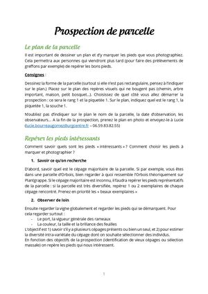 Méthode de prospection vigne sur le terrain