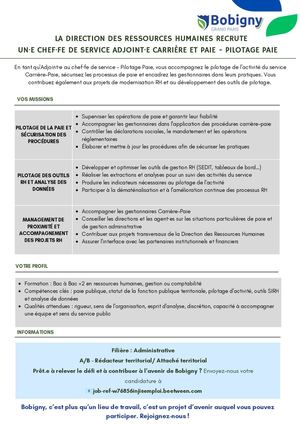 Drh Adjoint·e Chef·fe De Service Carrière Et Paie