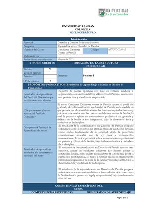 Mc Conductas Delictivas Contra La Familia