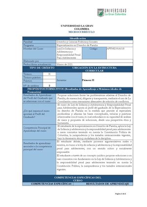 Mc Ley De Infancia Y Adolescencia Y Responsabilidad Penal Para Adolescentes