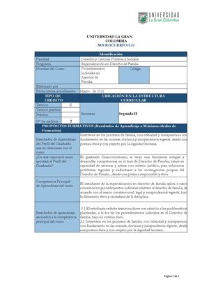 Mc Procedimientos Judiciales En Asuntos De Familia