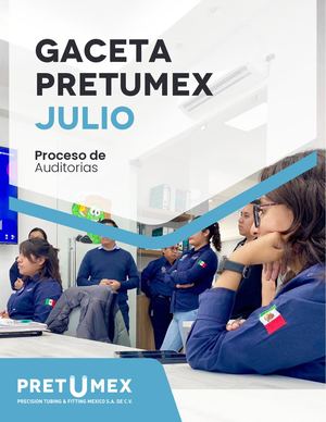Gaceta Proceso De Auditorias