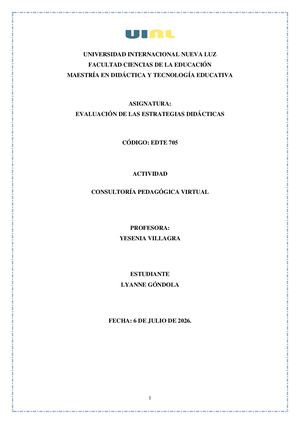 Consultoría Pedagógica Virtual Español E Ingles