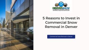 Why Choose a Professional Snow Removal Service in Denver?