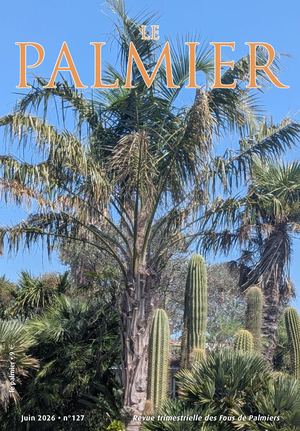 Le Palmier 127 Juin 2026