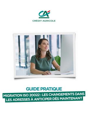 Guide Pratique Les éVolutions Iso 20022 A Anticiper Avant Novembre 2026