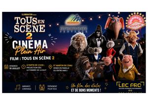 Cinema Plein Air St Martin De Crau Juillet 2026