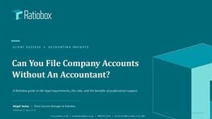Can You File Company Accounts Without an Accountant? A UK Business Guide