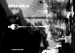 Portfolio d'architecture