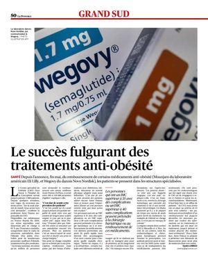 Le Succès Fulgurant Des Traitements Anti Obésité.