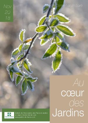 Bulletin Novembre 2018