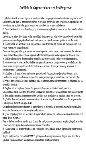 Análisis De Organizaciones En Las Empresas