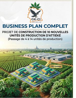 Business Plan Group Kassio Ci Sarl