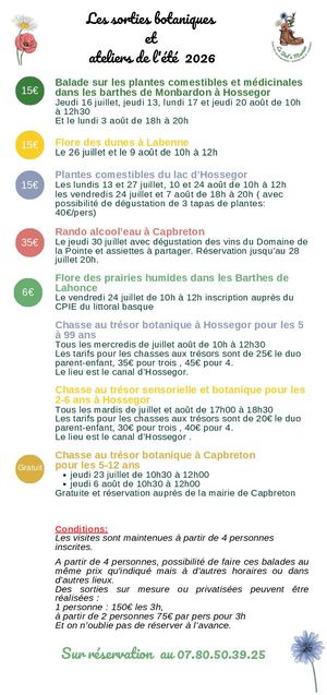 Programme éTé 2026 De La Bot'a Marion