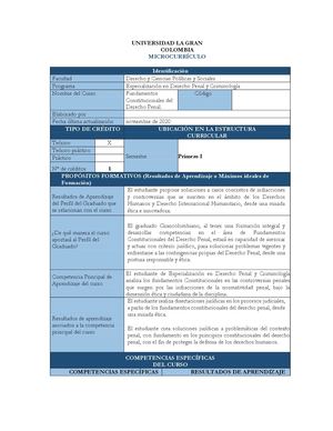 Fundamentos Constitucionales Del D Penal