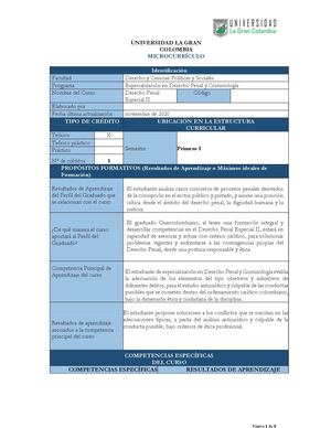 Penal Especial Ii