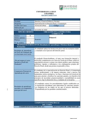 Teoría De La Pena