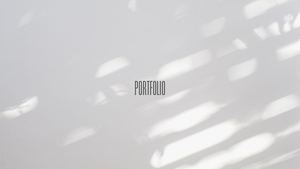 Portfolio Barbieri