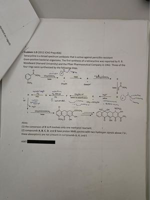 Oly Orgo