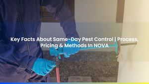 Key Facts About Same-Day Pest Control | Process, Pricing & Methods In NOVA