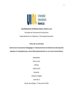 Informe De Consultoría