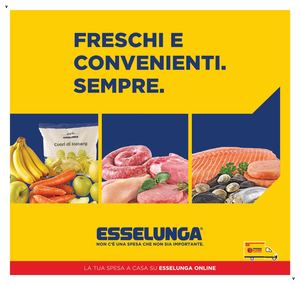 volantino-esselunga-11-2026-07-16-2026-07-29-freschi